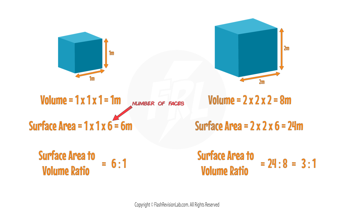 SA to Volume